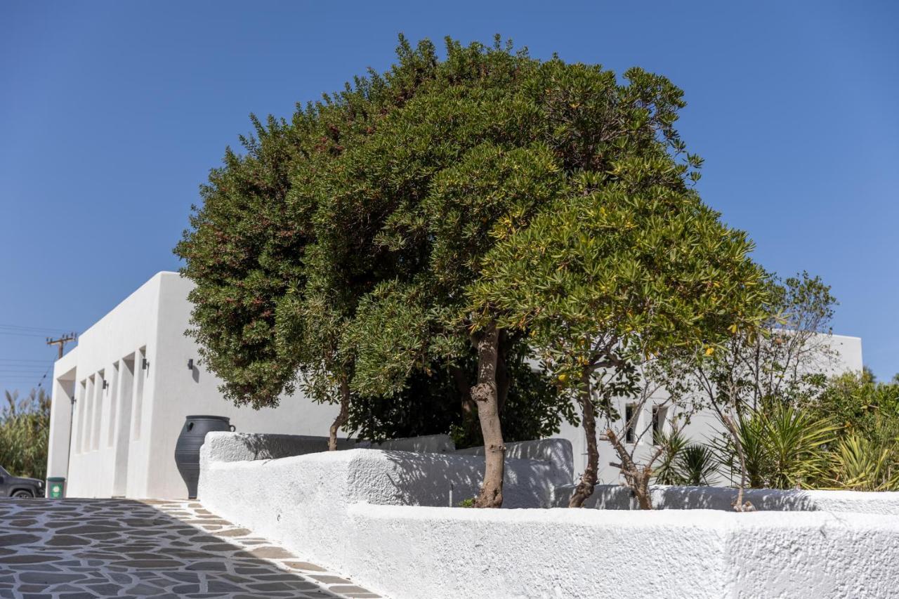 Naxos Green Village Hotel Naxos City Zewnętrze zdjęcie